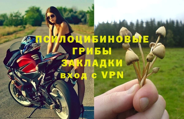 винт Алексин