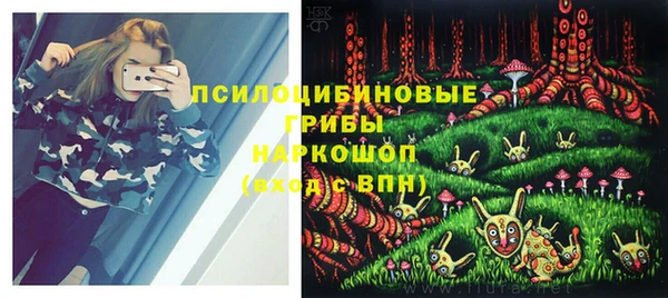 винт Алексин