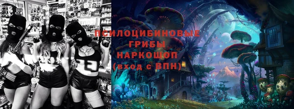 ешки Алексеевка