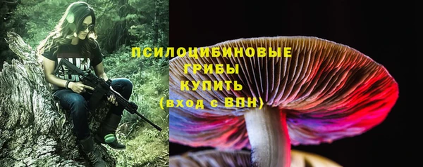 винт Алексин