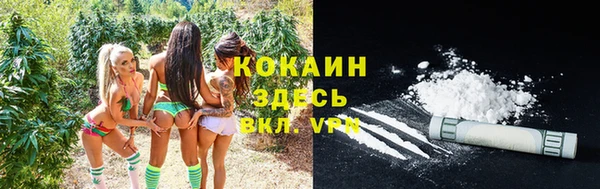 ешки Алексеевка